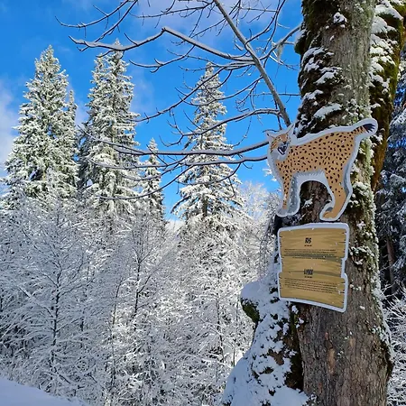 Apartment Nela 1 Jahorina