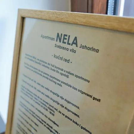 Nela 1 *